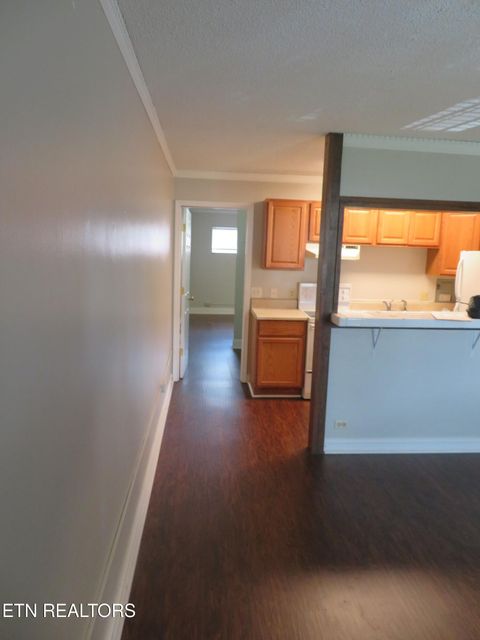 Tiny photo for 510 14Th St #305, Knoxville, TN 37916 (MLS # 1326652)