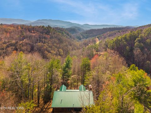 Tiny photo for 139 Little Round Top Lane, Townsend, TN 37882 (MLS # 1334117)