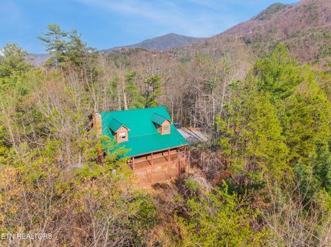 Tiny photo for 139 Little Round Top Lane, Townsend, TN 37882 (MLS # 1334117)