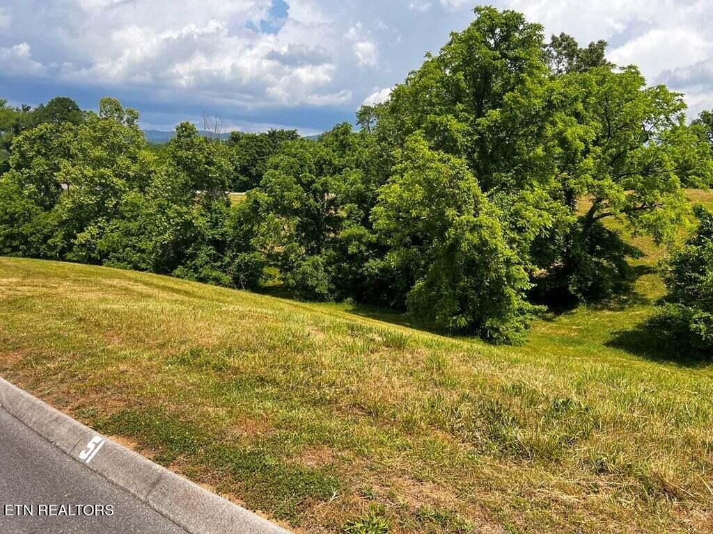 Photo of 6377 Coves Edge Tr, Russellville, TN 37860 (MLS # 1245946)