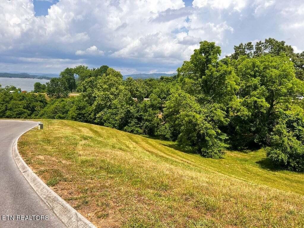 Photo of 6377 Coves Edge Tr, Russellville, TN 37860 (MLS # 1245946)