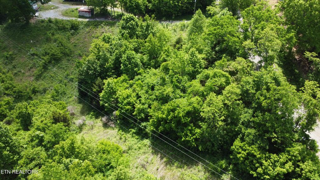 Photo of 801 Old Highway 25E, Thorn Hill, TN 37881 (MLS # 1339450)