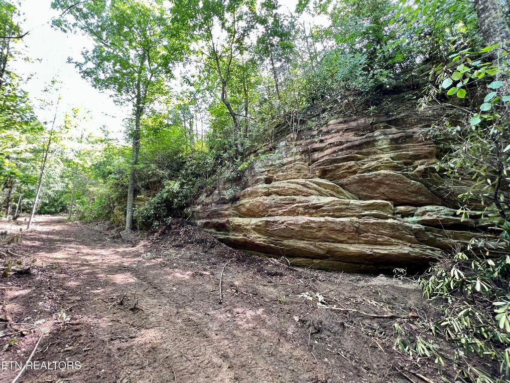 Photo of 0 Melvin Hollow Rd, Pioneer, TN 37847 (MLS # 1340373)