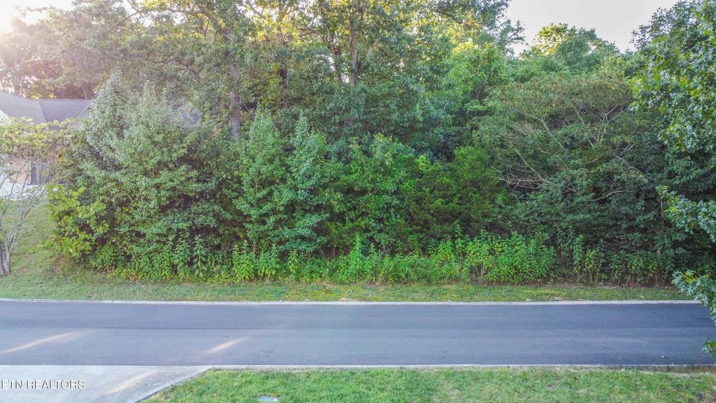 Photo of 60 Bradford Village Way, Kingston, TN 37763 (MLS # 1313095)