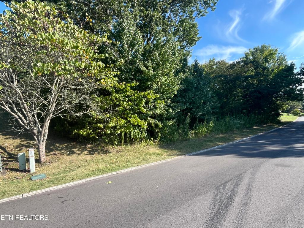 Photo of 60 Bradford Village Way, Kingston, TN 37763 (MLS # 1313095)