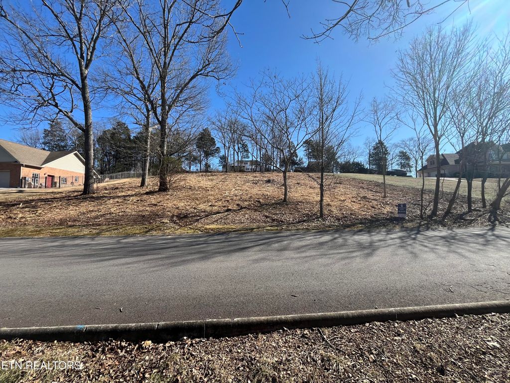 Photo of 60 Bradford Village Way, Kingston, TN 37763 (MLS # 1313095)