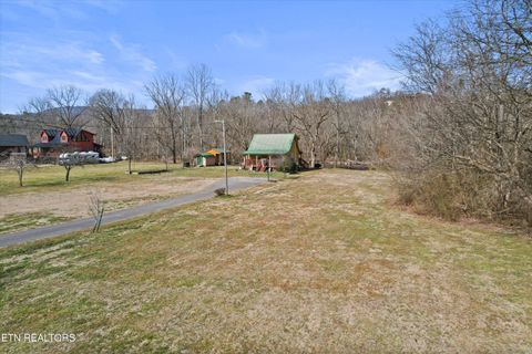 Tiny photo for 187 Wilton Springs Rd, Newport, TN 37821 (MLS # 1329663)