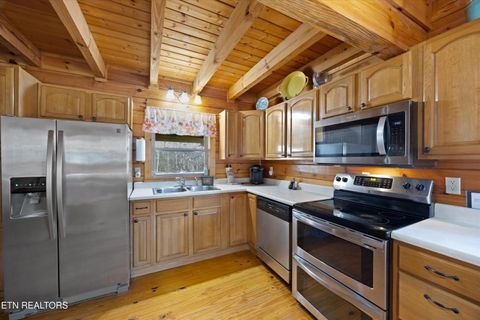 Tiny photo for 187 Wilton Springs Rd, Newport, TN 37821 (MLS # 1329663)