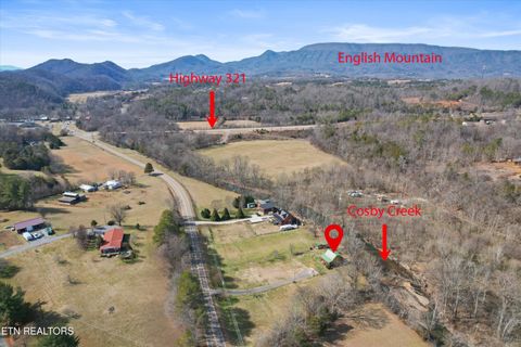 Tiny photo for 187 Wilton Springs Rd, Newport, TN 37821 (MLS # 1329663)