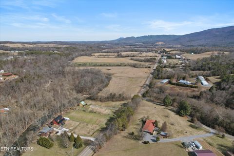 Tiny photo for 187 Wilton Springs Rd, Newport, TN 37821 (MLS # 1329663)
