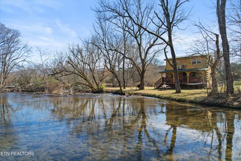Tiny photo for 187 Wilton Springs Rd, Newport, TN 37821 (MLS # 1329663)