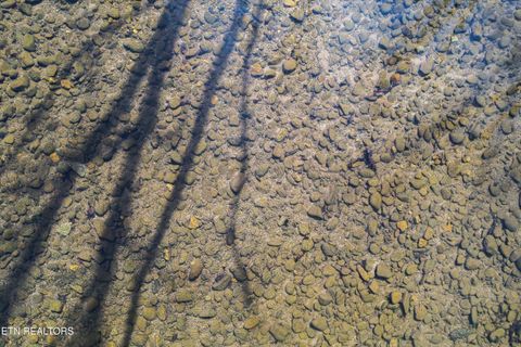 Tiny photo for 187 Wilton Springs Rd, Newport, TN 37821 (MLS # 1329663)