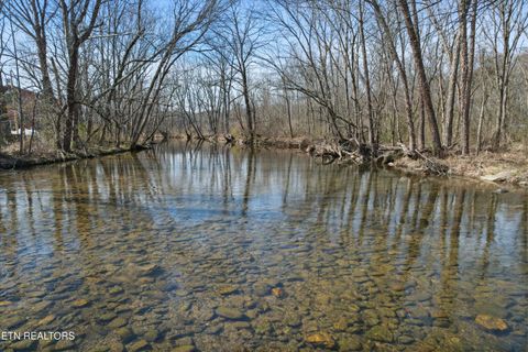 Tiny photo for 187 Wilton Springs Rd, Newport, TN 37821 (MLS # 1329663)