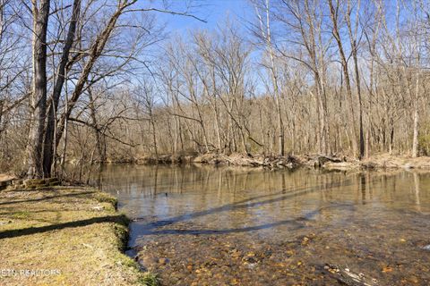 Tiny photo for 187 Wilton Springs Rd, Newport, TN 37821 (MLS # 1329663)