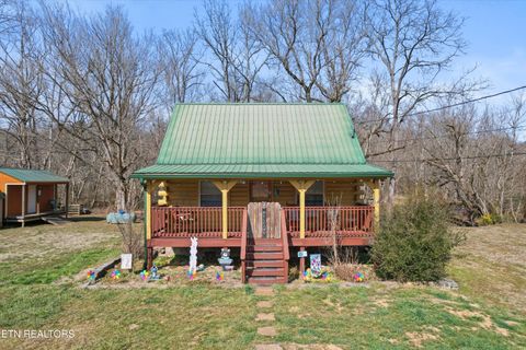 Photo of 187 Wilton Springs Rd, Newport, TN 37821 (MLS # 1329663)