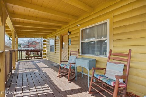 Tiny photo for 187 Wilton Springs Rd, Newport, TN 37821 (MLS # 1329663)