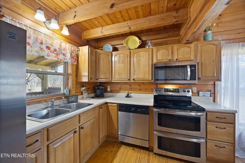 Tiny photo for 187 Wilton Springs Rd, Newport, TN 37821 (MLS # 1329663)