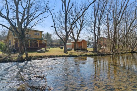 Tiny photo for 187 Wilton Springs Rd, Newport, TN 37821 (MLS # 1329663)