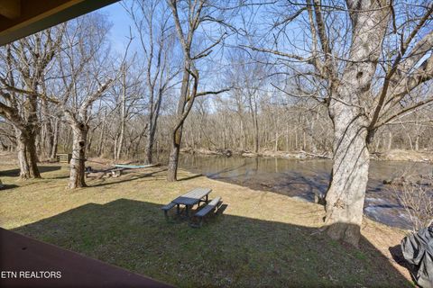 Tiny photo for 187 Wilton Springs Rd, Newport, TN 37821 (MLS # 1329663)
