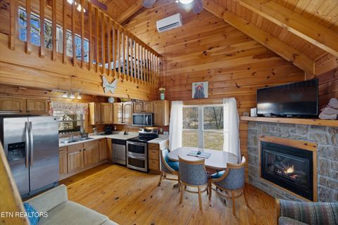 Tiny photo for 187 Wilton Springs Rd, Newport, TN 37821 (MLS # 1329663)