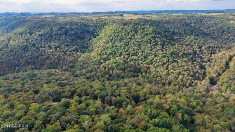 Tiny photo for Apache Rd, Jamestown, TN 38556 (MLS # 1359405)