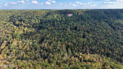 Tiny photo for Apache Rd, Jamestown, TN 38556 (MLS # 1359405)