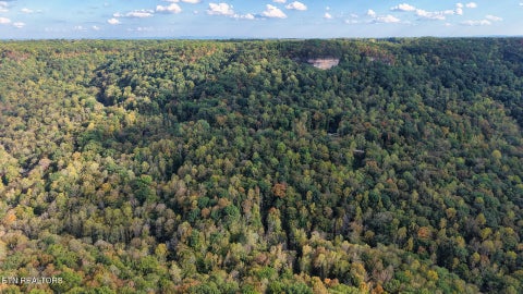 Tiny photo for Apache Rd, Jamestown, TN 38556 (MLS # 1359405)