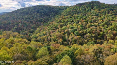 Tiny photo for Apache Rd, Jamestown, TN 38556 (MLS # 1359405)