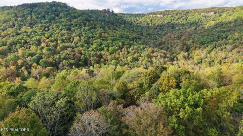 Tiny photo for Apache Rd, Jamestown, TN 38556 (MLS # 1359405)