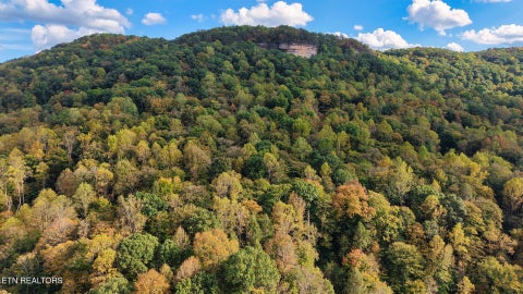 Tiny photo for Apache Rd, Jamestown, TN 38556 (MLS # 1359405)