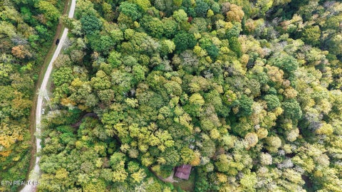 Tiny photo for Apache Rd, Jamestown, TN 38556 (MLS # 1359405)