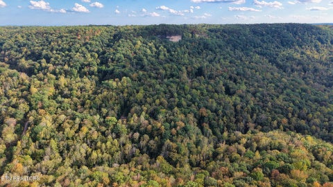 Tiny photo for Apache Rd, Jamestown, TN 38556 (MLS # 1359405)