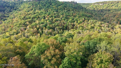 Tiny photo for Apache Rd, Jamestown, TN 38556 (MLS # 1359405)