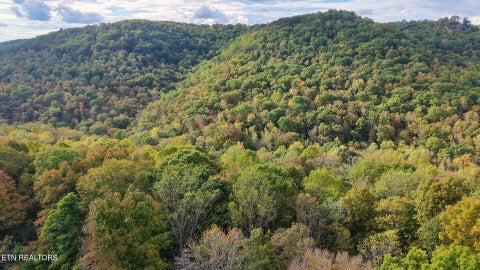 Tiny photo for Apache Rd, Jamestown, TN 38556 (MLS # 1359405)