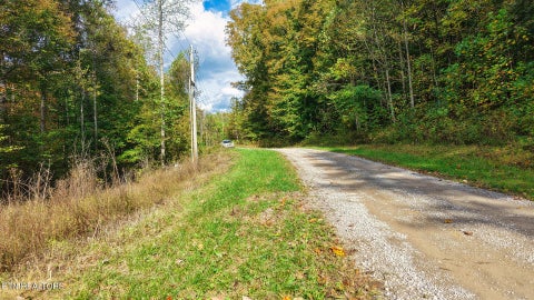 Tiny photo for Apache Rd, Jamestown, TN 38556 (MLS # 1359405)