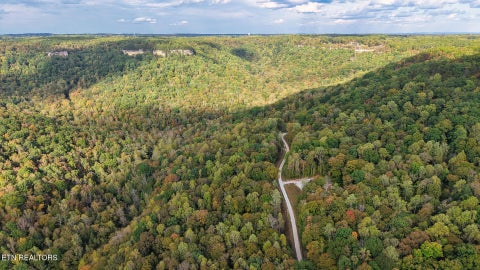 Tiny photo for Apache Rd, Jamestown, TN 38556 (MLS # 1359405)