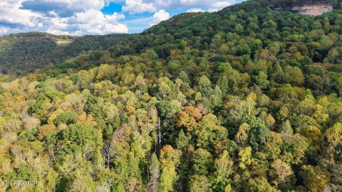 Tiny photo for Apache Rd, Jamestown, TN 38556 (MLS # 1359405)