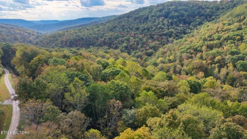 Tiny photo for Apache Rd, Jamestown, TN 38556 (MLS # 1359405)