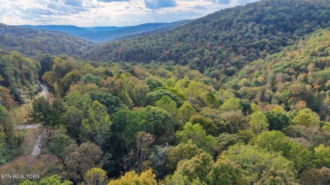Tiny photo for Apache Rd, Jamestown, TN 38556 (MLS # 1359405)