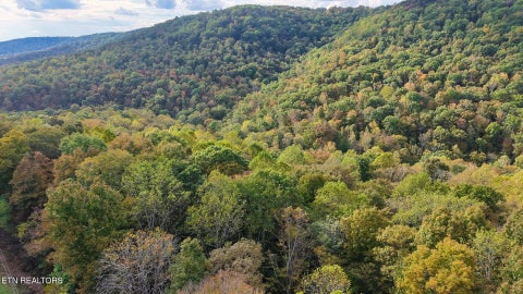 Photo of Apache Rd, Jamestown, TN 38556 (MLS # 1359405)