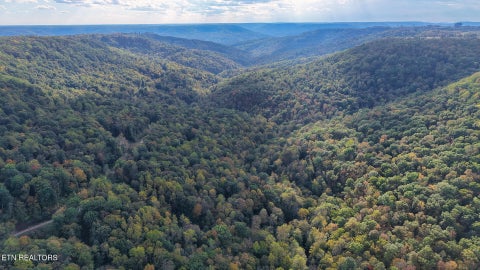 Tiny photo for Apache Rd, Jamestown, TN 38556 (MLS # 1359405)