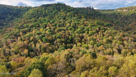 Tiny photo for Apache Rd, Jamestown, TN 38556 (MLS # 1359405)