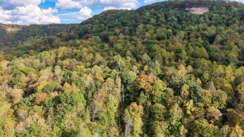 Tiny photo for Apache Rd, Jamestown, TN 38556 (MLS # 1359405)