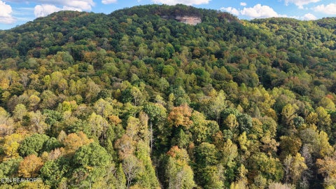 Tiny photo for Apache Rd, Jamestown, TN 38556 (MLS # 1359405)