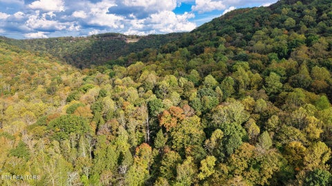 Tiny photo for Apache Rd, Jamestown, TN 38556 (MLS # 1359405)
