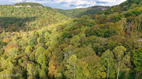 Tiny photo for Apache Rd, Jamestown, TN 38556 (MLS # 1359405)