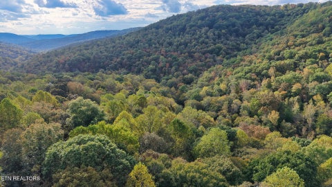 Tiny photo for Apache Rd, Jamestown, TN 38556 (MLS # 1359405)