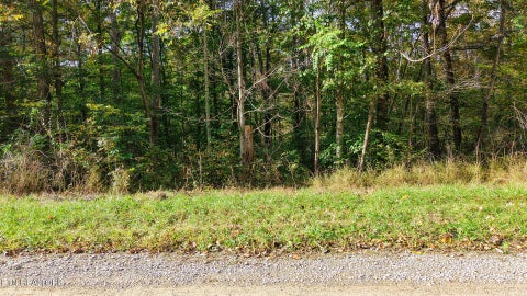 Tiny photo for Apache Rd, Jamestown, TN 38556 (MLS # 1359405)