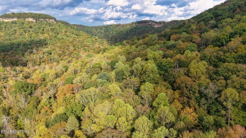 Tiny photo for Apache Rd, Jamestown, TN 38556 (MLS # 1359405)