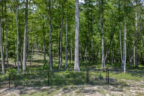 Tiny photo for 1532 E Overlook Rd, Monterey, TN 38574 (MLS # 1356162)